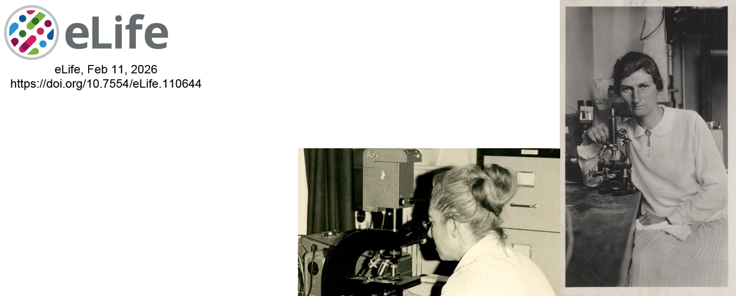 2026-Thomann-eLife-Visuel-CRBM